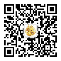 帅龙